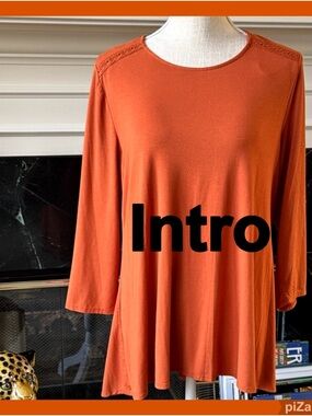 NWT ~ Intro. Rust Orange Women's Tunic Top ~ Sz L